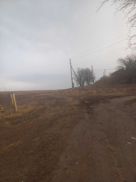Продається земельна ділянка в смт. Стрижавка 6828