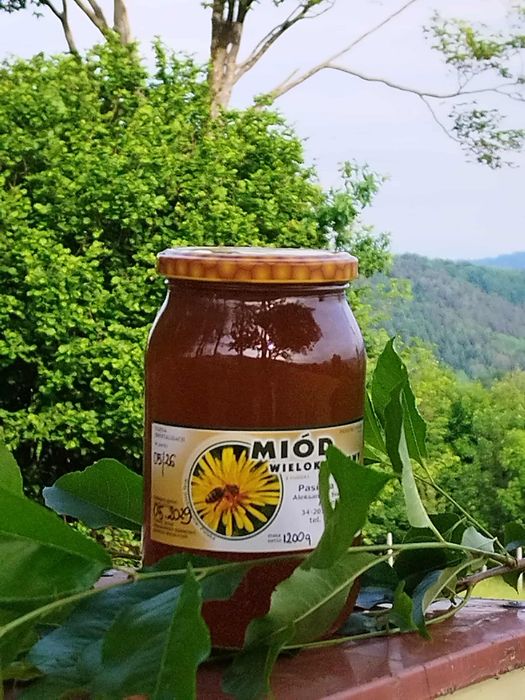Miód wielokwiatowy z własnej pasieki