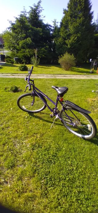 Rower Roadmaster ALL TERRAIN USA