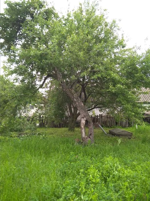 Продаю дім з земельною ділянкою