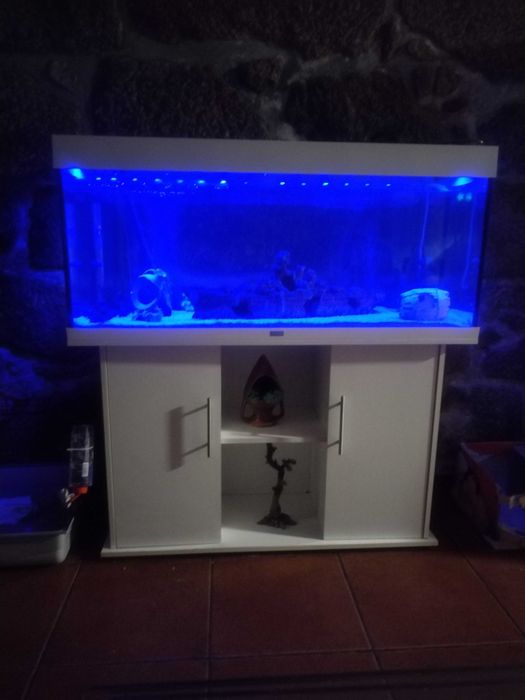 Aquário completo