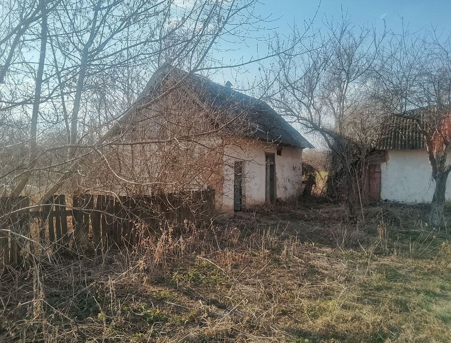 Земельна ділянка