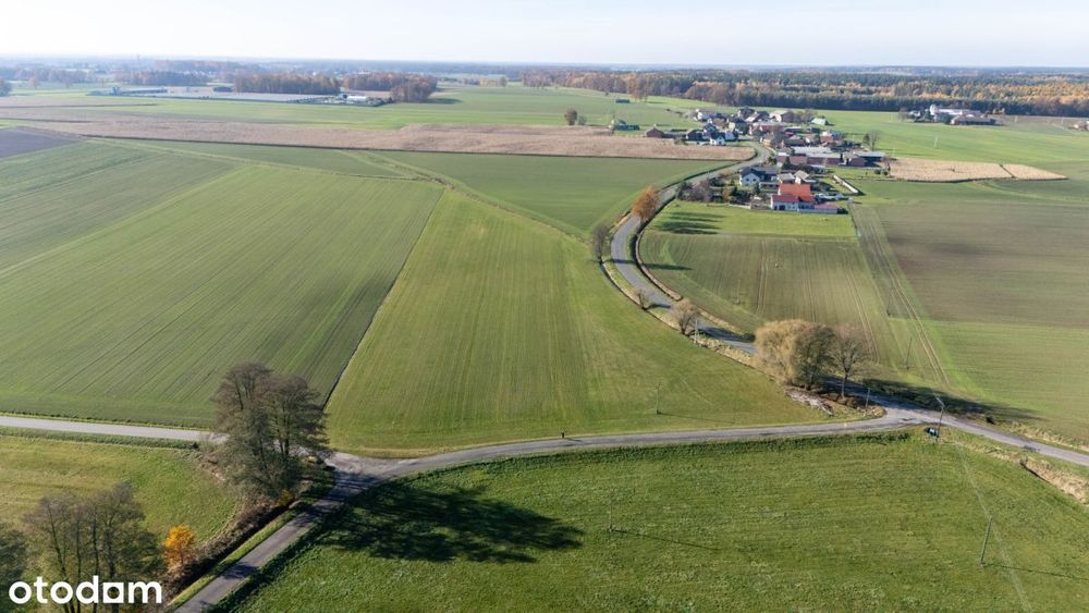 Działka budowlana 831 m² Dzielna - Widok 4