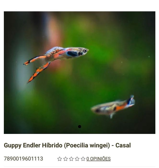 Vendas Guppy Endler