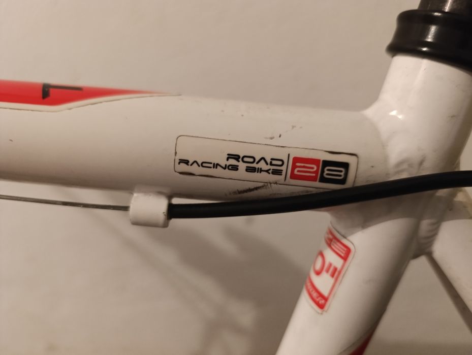 Rower Teamraider Race l