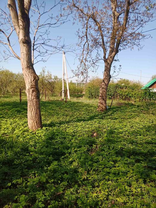 Земельна ділянка близько трьох гектарів  20км Львів