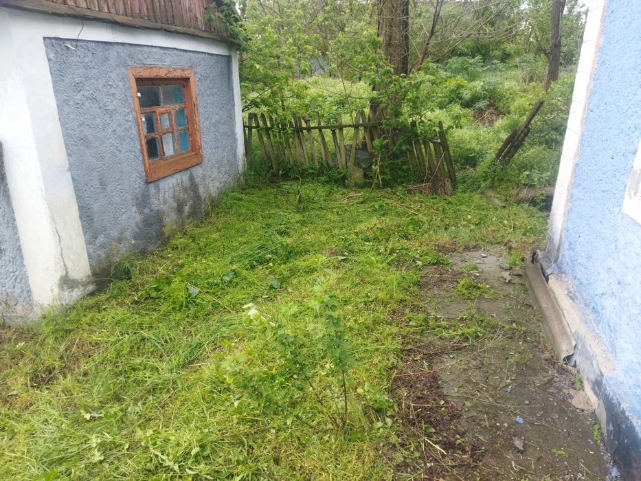 Продається будинок,місце для пасіки