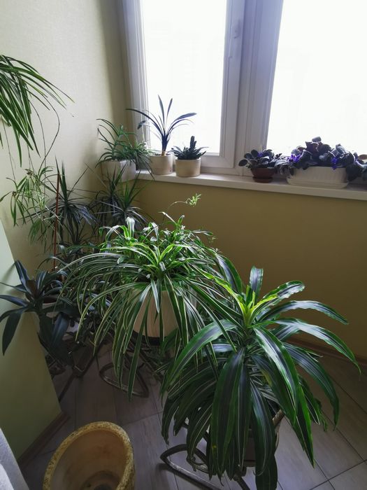 3-комнатная квартира по адресу Князя Святослава пл. (площадь 113 м²) - Atlanta.ua - фото 18