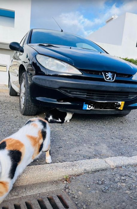 Peugeot 206 — photo 2