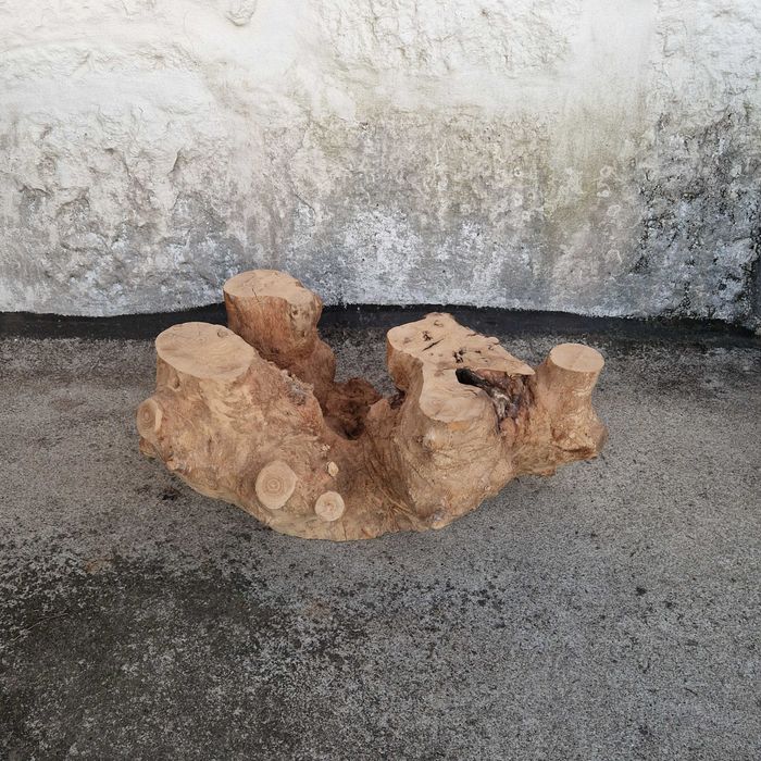 Freixo Maciço, Mesa de centro natural, Pedaço de madeira