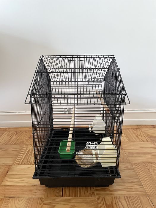 Gaiola para pássaros de porte pequeno/médio