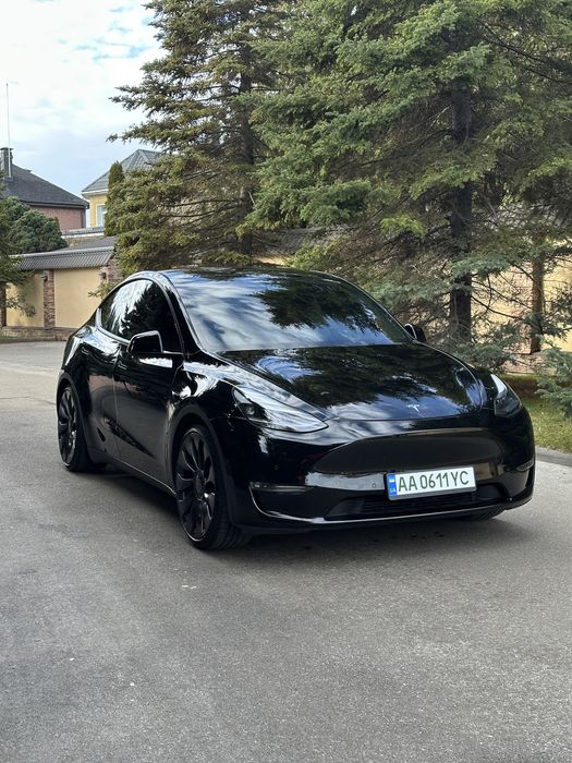 Model Y Performance (82кВт) 2022 рік Ryzen