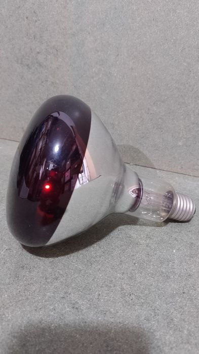 Żarówka podczerwień Philips ir