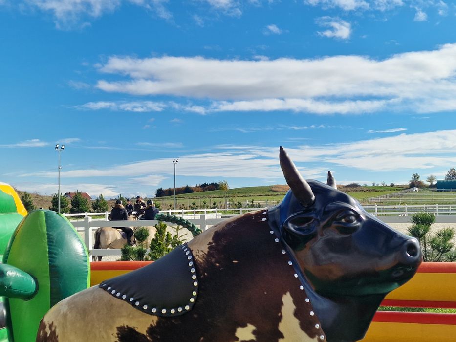 Byk RODEO, Kolejka elektryczna, Animacie, Panieńskie, Dmuchańce, Karuzela,