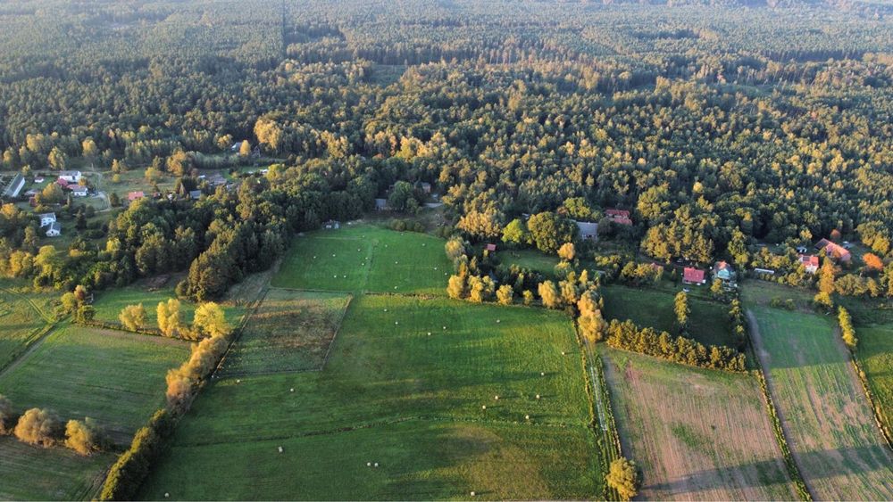 Sprzedam działki w Stegnie Gd.