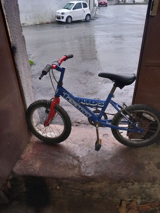 Bicicleta team kids