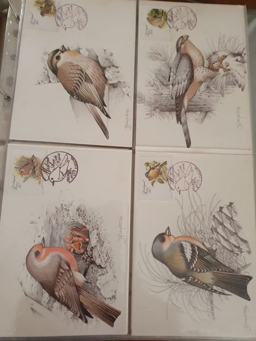 29 Postais sobre o tema aves
