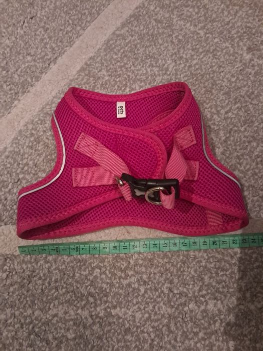 Шлея для собак нова