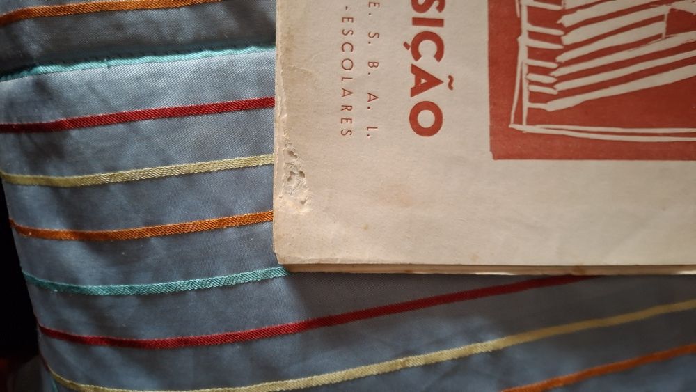 Programa exposição belas artes José escada Bartolomeu Cid  bertholo