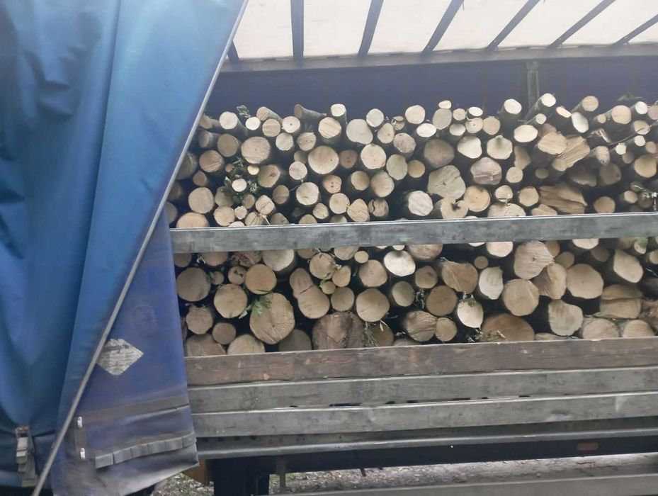 ПРОДАМ дрова Дуб колотий длина 33- 35 см
Середній покол.