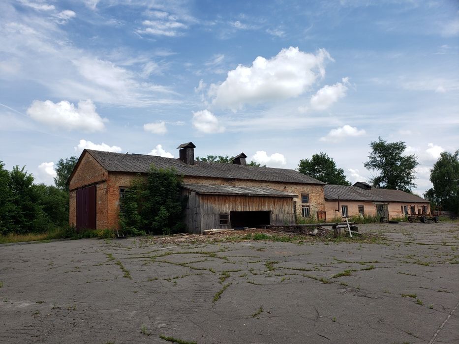 Продаж  виробниче приміщення  с. Серби