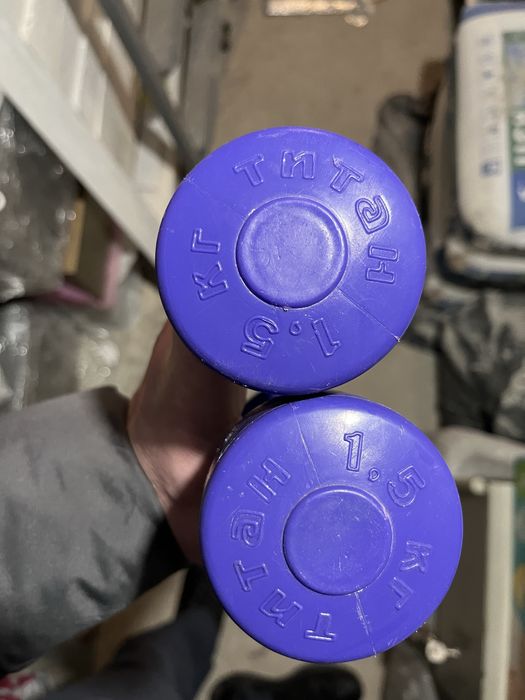 Гантелі 1,5 кг кожна