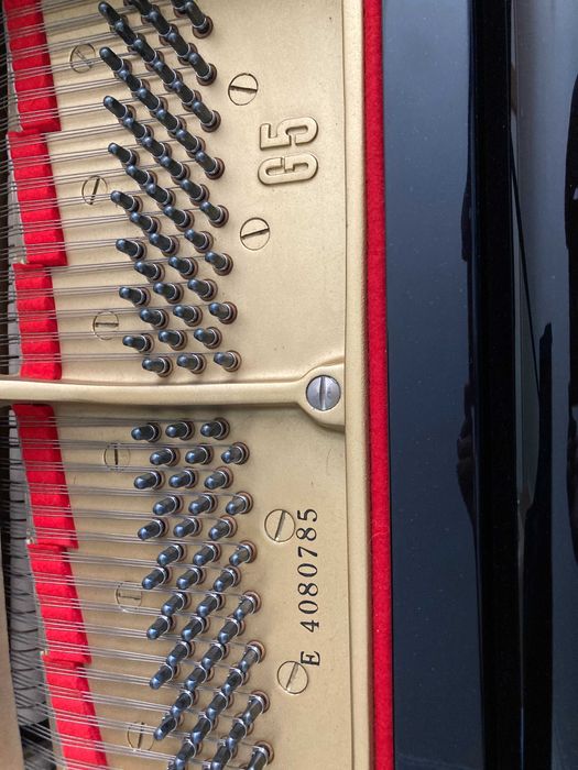 Piano de Cauda Yamaha G5 (Baixa de preço! Transporte e 1ª Afinação)