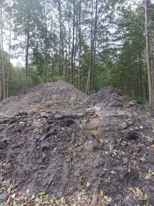 Czarnoziem,  ziemia ogrodowa