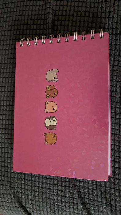 Livro colorir - Bobbie Goods (novo)