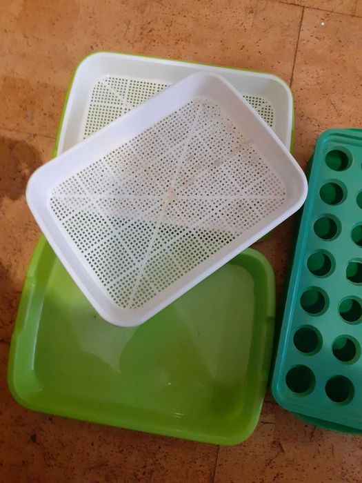 Лотки для мікрозелені та вирощування цибулі, россади