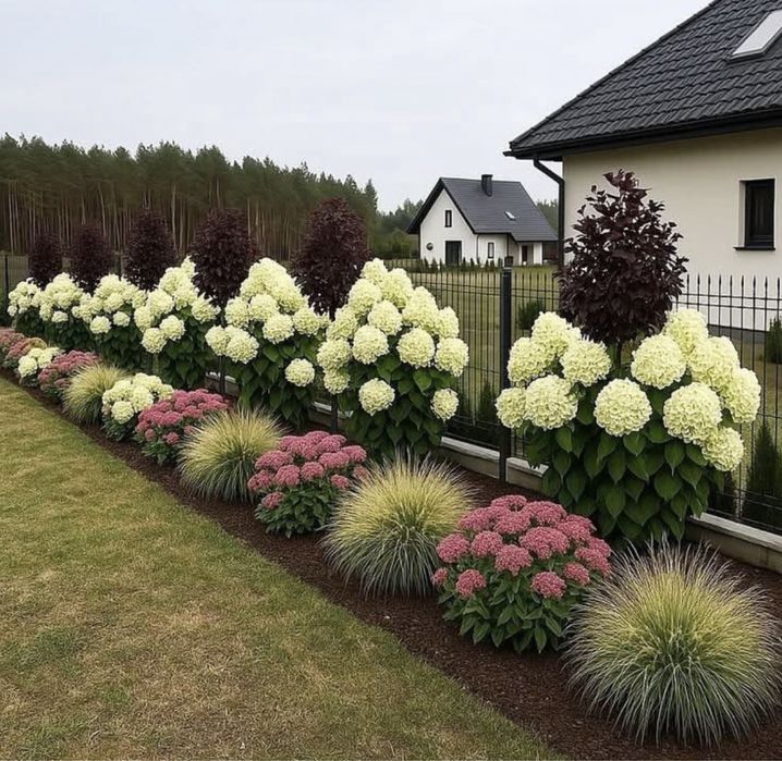 Автополив, Газон, Ландшафтний дизайн, Озеленення