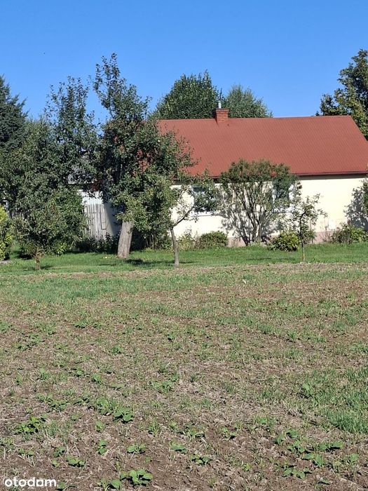 Działka siedliskowa 5271 m² w cichej wsi