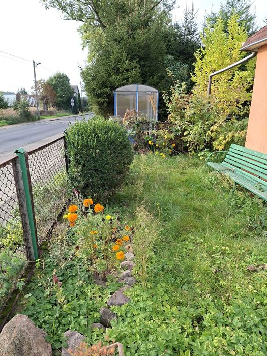 Sklep z działką w miejscowości Upadły - Widok 4