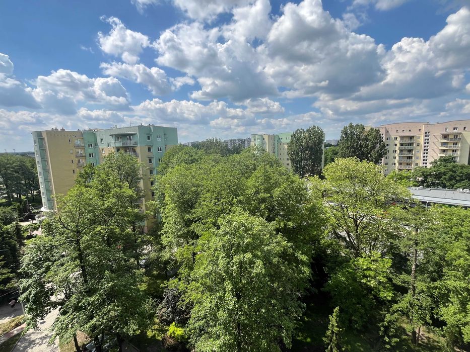 Dwupokojowe 54 m² ulica Kaczeńcowa Teofilów - View 3