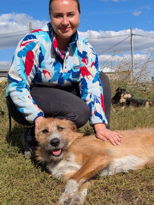 Песик Рудий шукає родину