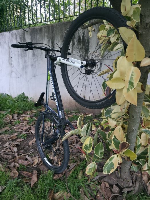 Rockrider xc100 29"