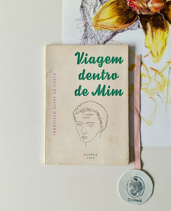 Viagem dentro de mim