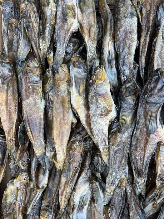 Бычок  вяленый  икрянчик.