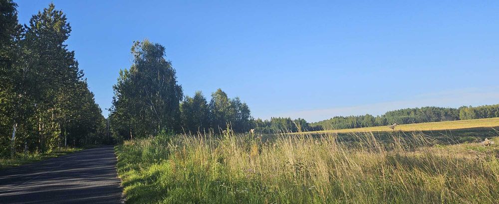 Grunt rolny 6 355 m² – klasa RIVa – Wodynie