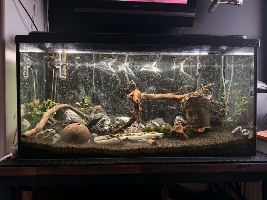 akwarium 200l   100x50x40