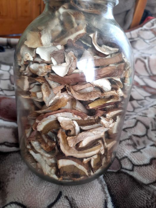 Гриби білі сушені