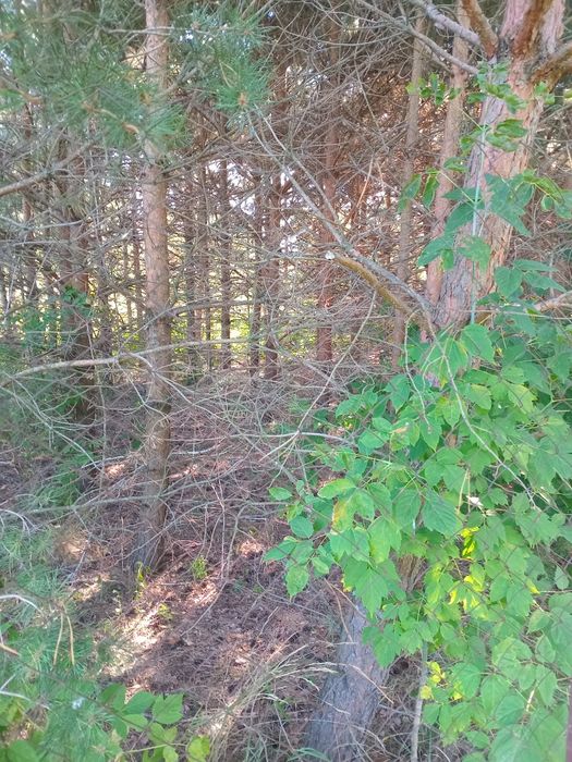 Житло у селi для переселенцiв, бесплатное жилье..