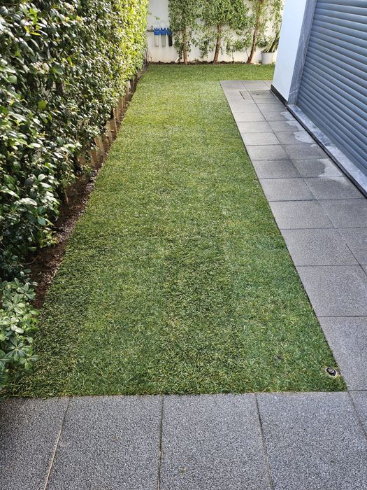 relva natural em tapete