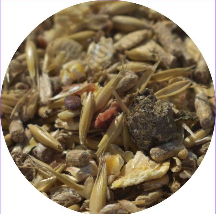 Bigfarm CJ Musli dla cieląt 20 kg ** zwierzogrod.in **