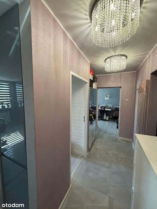 50,49 m2 DO Wprowadzenia