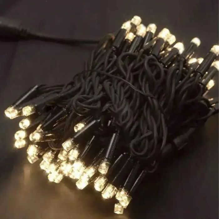 Гірлянда вулична 10м на 100 LED діодів