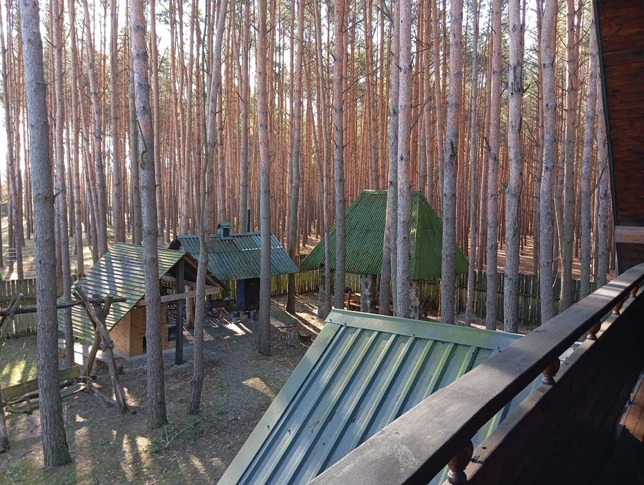 Відпочинок оренда будинку баня на березі озера Велике Облапи