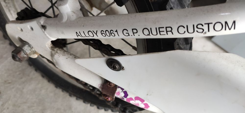 Bicicleta Menina