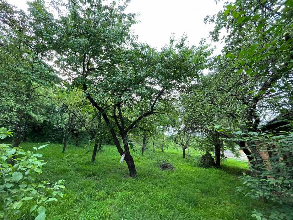 Будинок серед Карпат! 272 м² у с. Кути, можна під держ. програми _RR