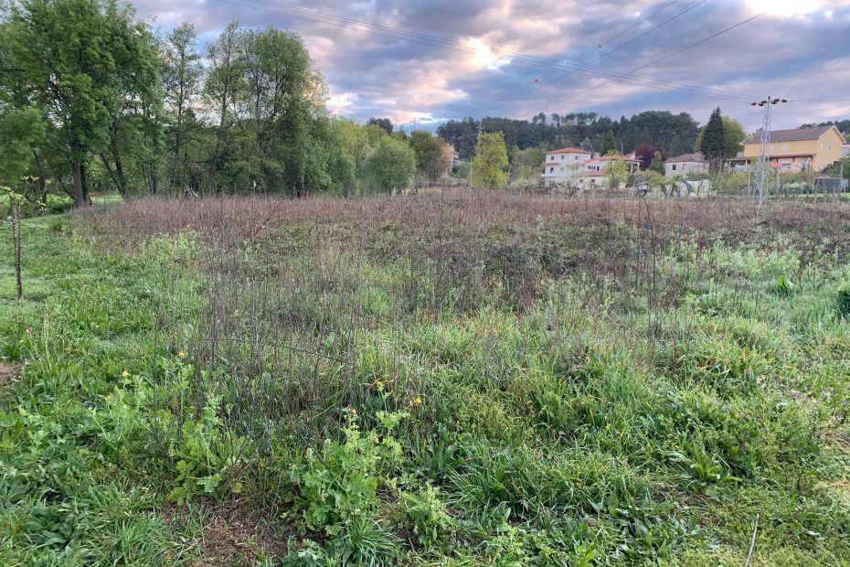 Limpeza de terrenos/ Jardinagem